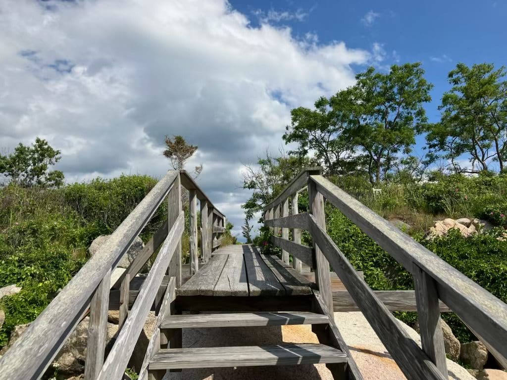 A wooden bridge with steps going up to the top.